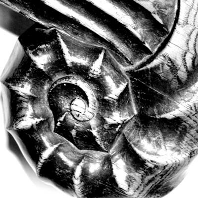 Schnecke_1