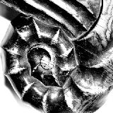Schnecke_1